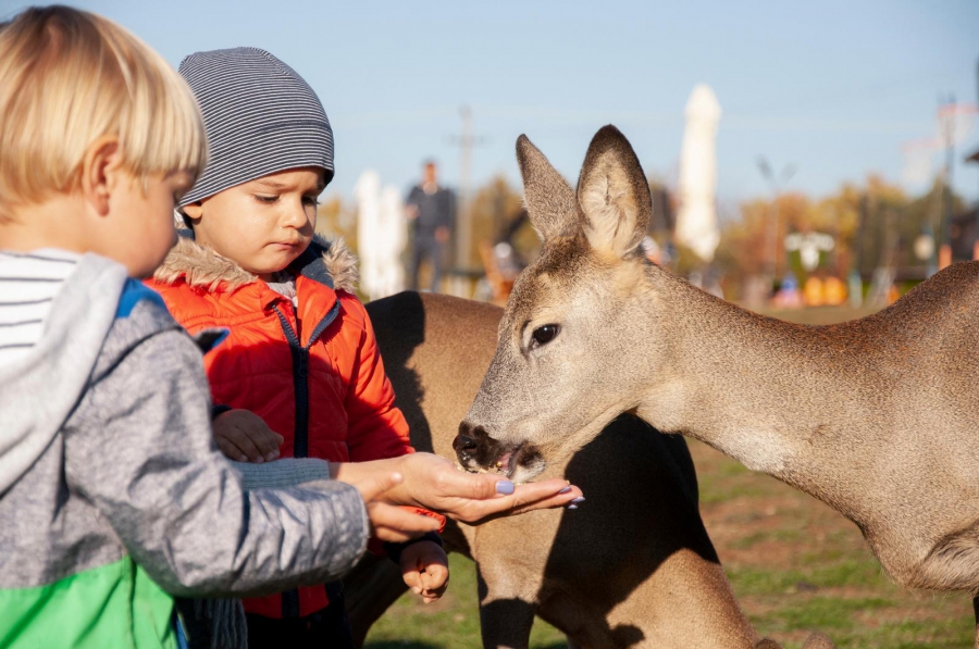 Park decje radosti Beli Jelen